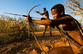 На создание новых мужских контрацептивов ученых вдохновила древняя африканская стрела